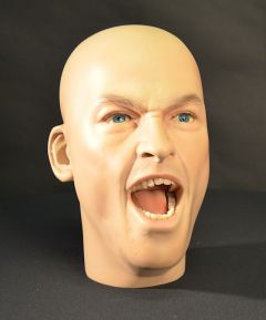 Realistic Mannequin Display Head 