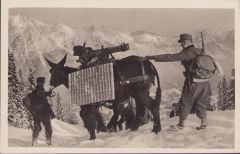 Deutsche Wehrmacht 'Gebirgsartillerie' Postcard