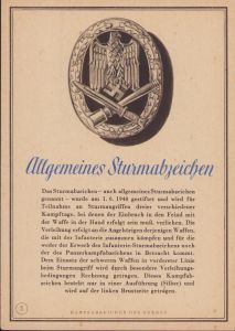 'Allgemeines Sturmabzeichen' Postcard