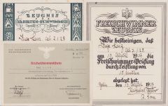 Small Grouping of Swimming Certificates