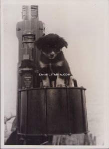 'Der Bordhund' Press Photograph 1943