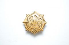 Reichsluftschutzbund Cap Badge