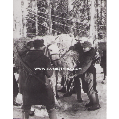 'ᛋᛋ-Gebirgsjäger Tragtierkolonnen' Press Photo