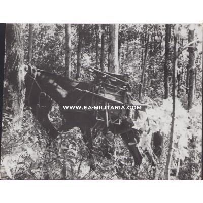 'Gebirgs Tragtier' Press Photo