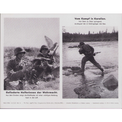 'Gefiederte Helferinnen' Bilderkasten Press Photo