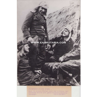 Large Panzer Rgt. Großdeutschland Press Photo