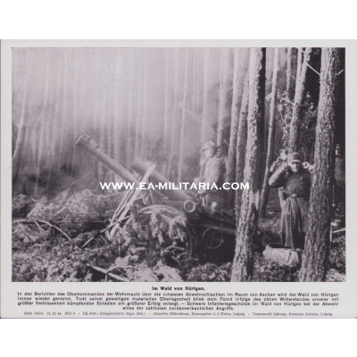 'Im Wald von Hürtgen' Bilderkasten Press Photo